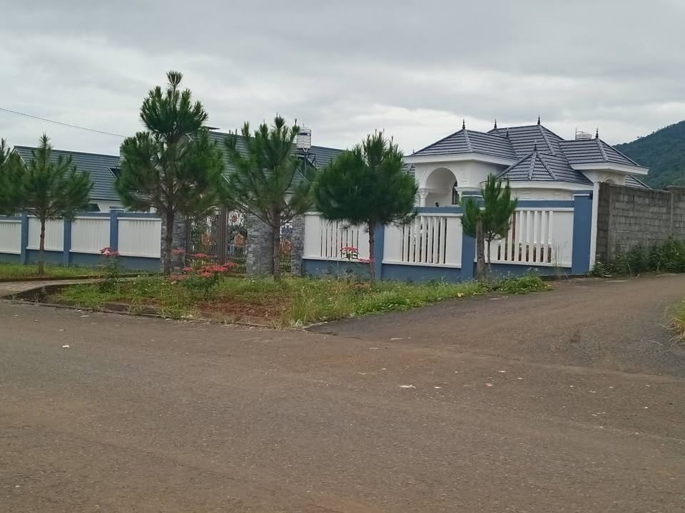 Đất vườn trái cây B'Lao 3500m² giá 3.6 tỷ - Tiềm năng phát triển cao!