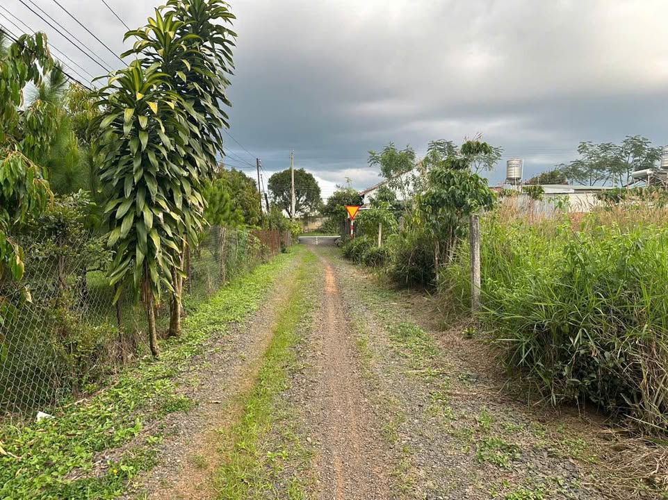 Đất nền Lộc Châu Bảo Lộc 560m² giá 2.2 tỷ - Đường ô tô vào tận nơi!