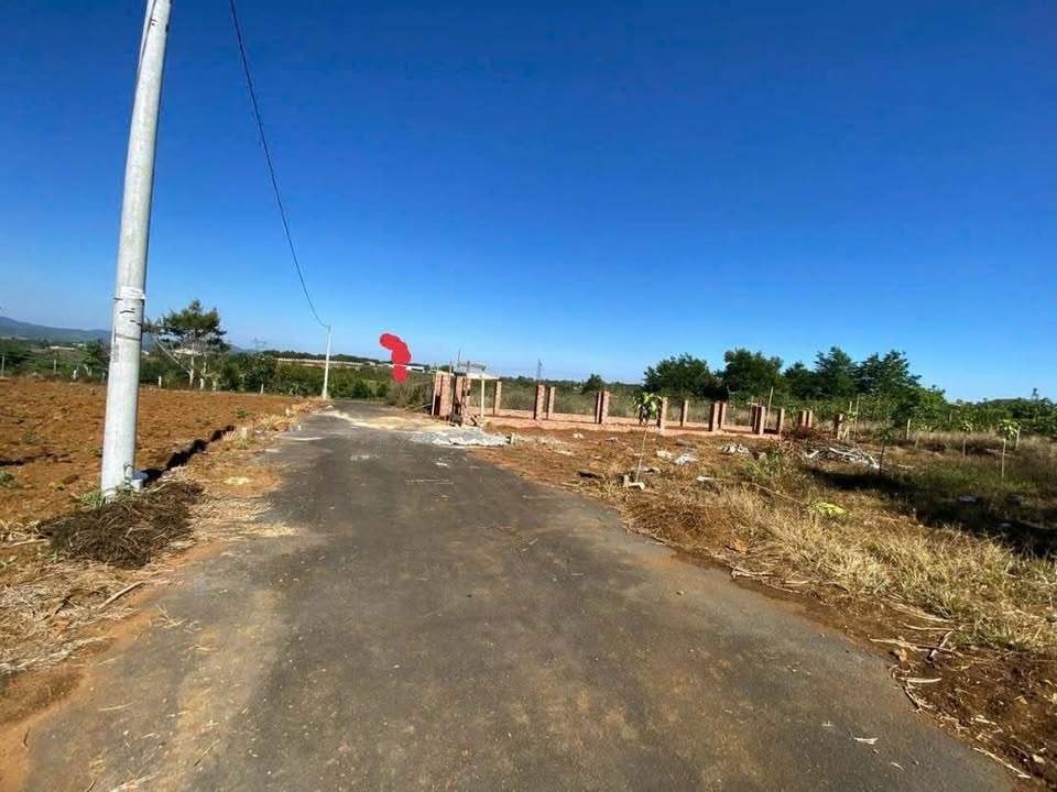 Lô đất hẻm Ng Trãi, Bảo Lộc 115m² giá 980 triệu - Đầu tư sinh lời ngay!