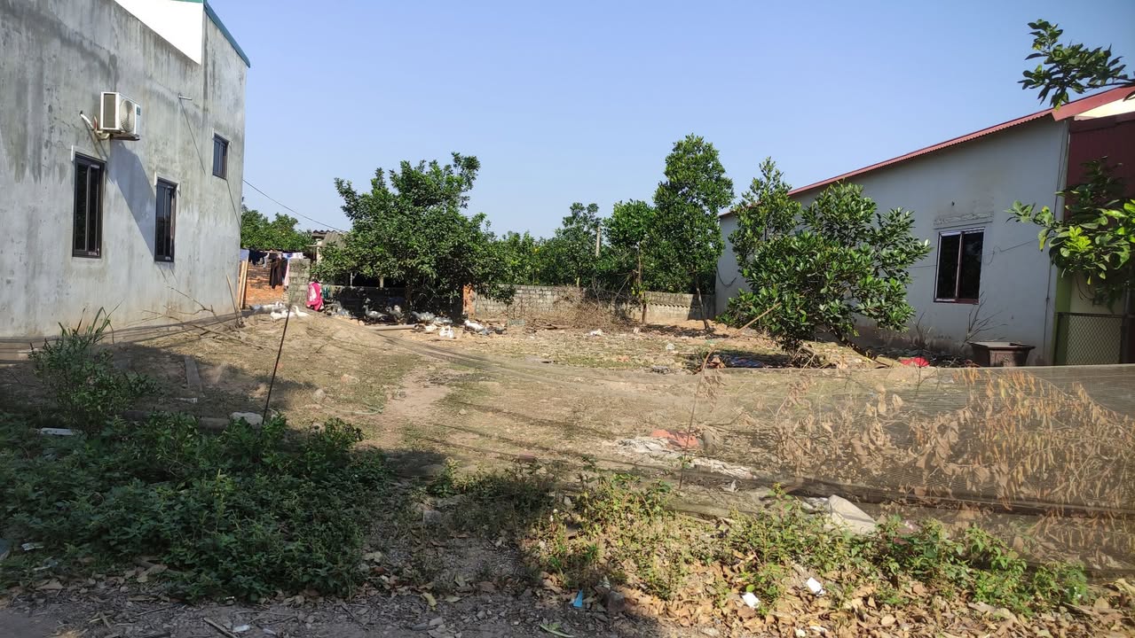 Đất nền Thường Tín 268.8m² giá đầu tư - Ô tô tải đỗ cửa