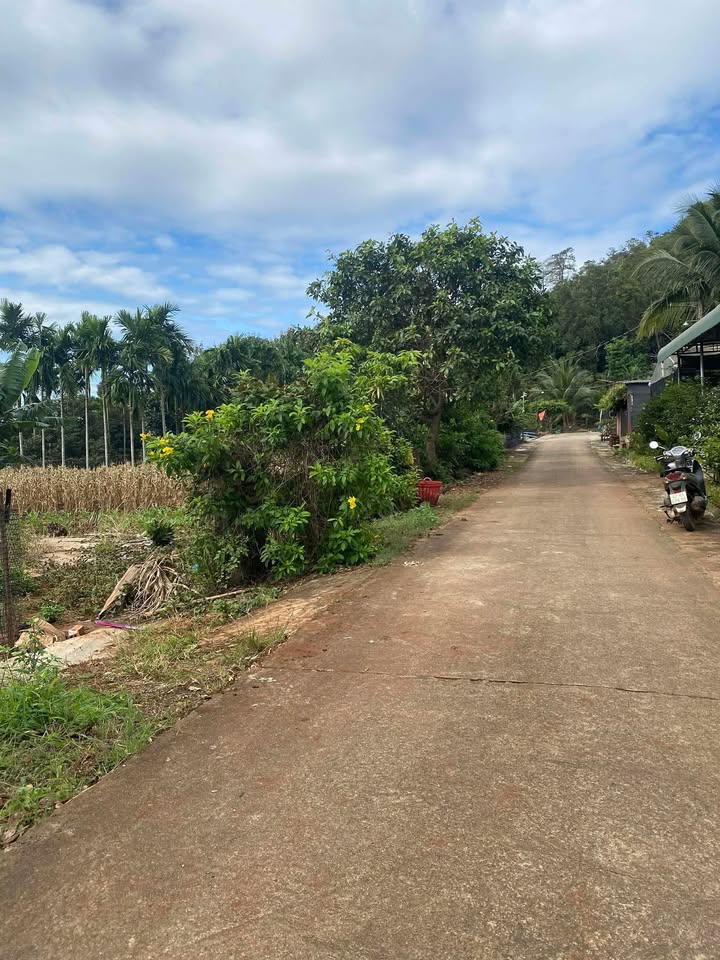 Đất nền chính chủ tại Quảng Tiến, Cư M'gar 371m² giá 1.53 tỷ - Cơ hội đầu tư tuyệt vời!