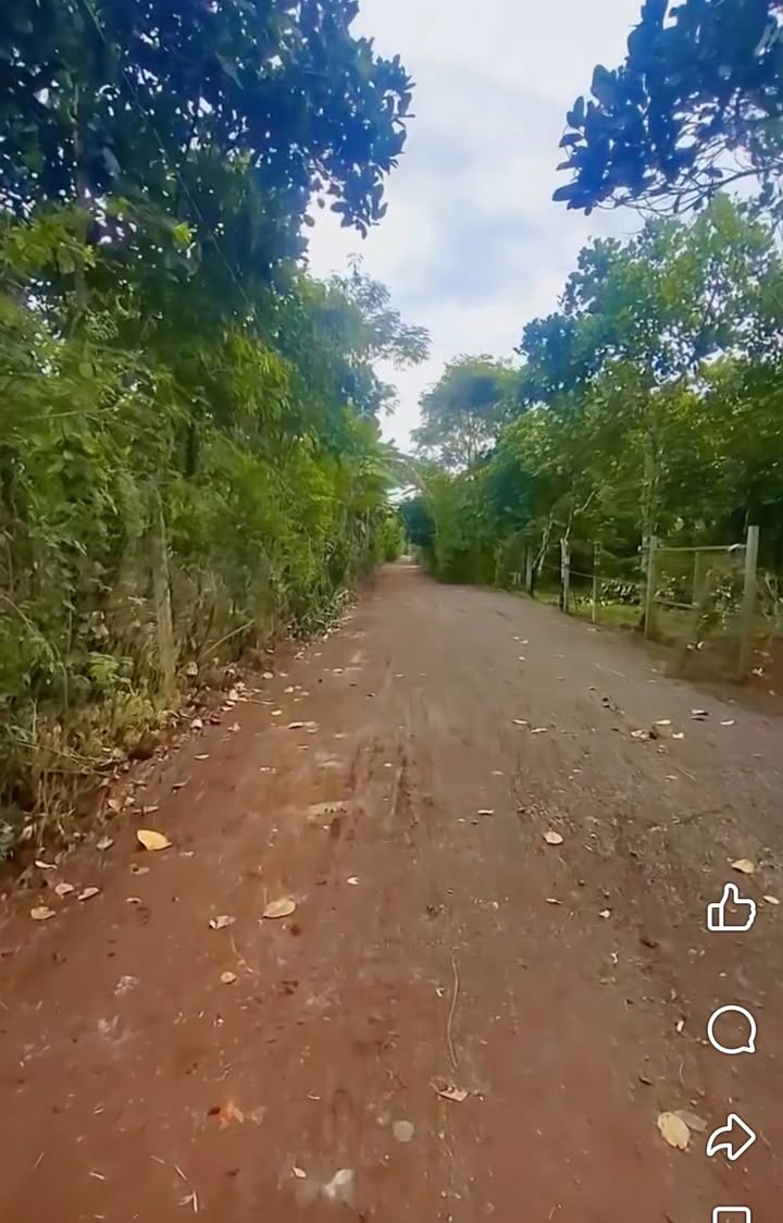 Đất vườn Bảo Vinh Long Khánh 300m² giá 999 triệu - Đường rộng, tiện ích đầy đủ!