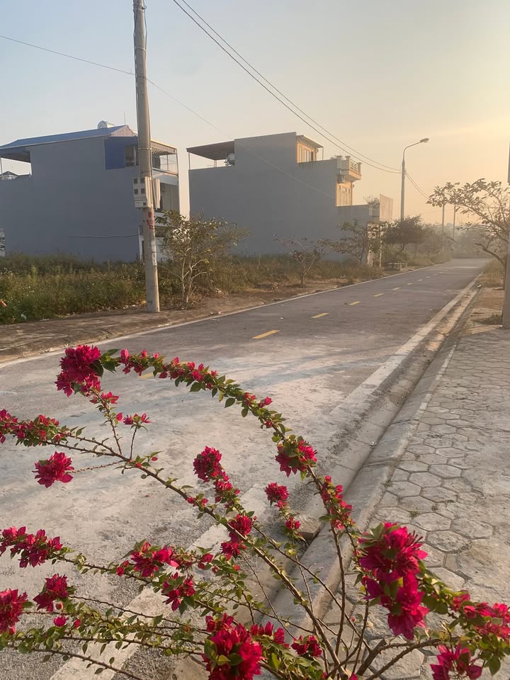 Đất nền Gôi Vụ Bản 80m² giá 1,9 tỷ - Cơ hội đầu tư tuyệt vời!