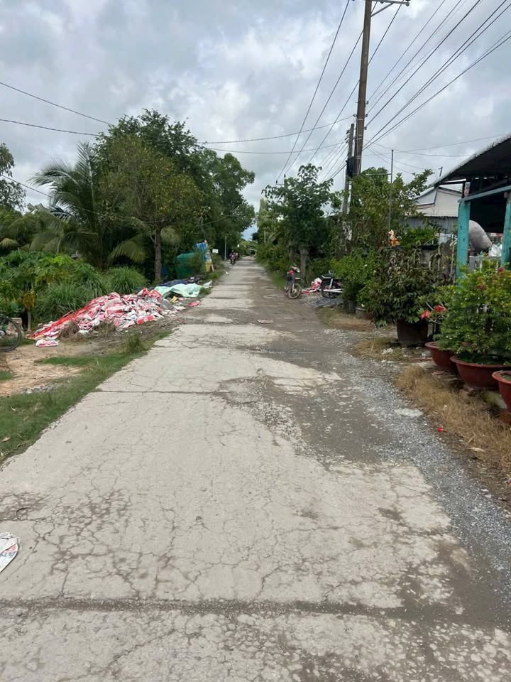 Đất nền xã An Phước, huyện Tân Hồng, 100m² giá chỉ 230 triệu - Cơ hội đầu tư tuyệt vời!