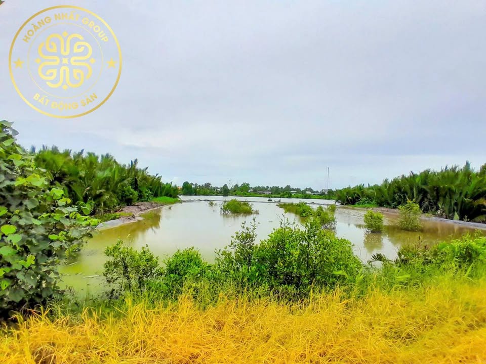 Đất nền 2 mặt tiền Hồ Thị Kỷ, Thới Bình 832m² giá chỉ 900 triệu - Tiềm năng đầu tư lớn!