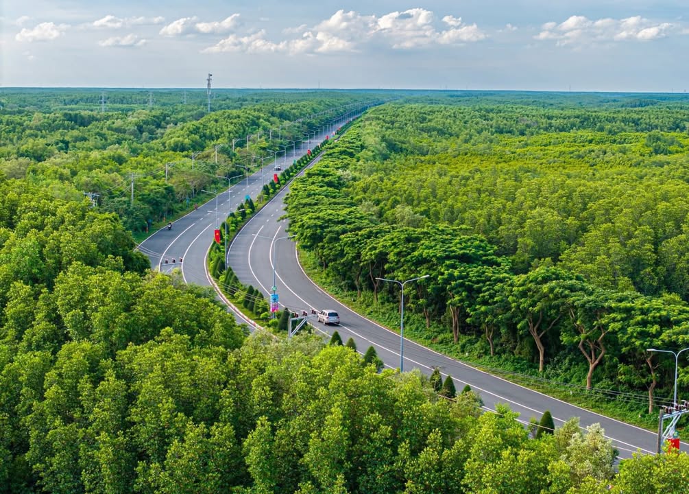 Nhà phố vườn view sông Cần Giờ 110m² - Đầu tư lý tưởng gần biển