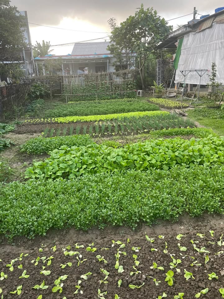 Đất TĐC Hòa Ninh 2, xã Bà Nà, Đà Nẵng 120m² giá 2.1 tỷ - Cơ hội đầu tư hấp dẫn!