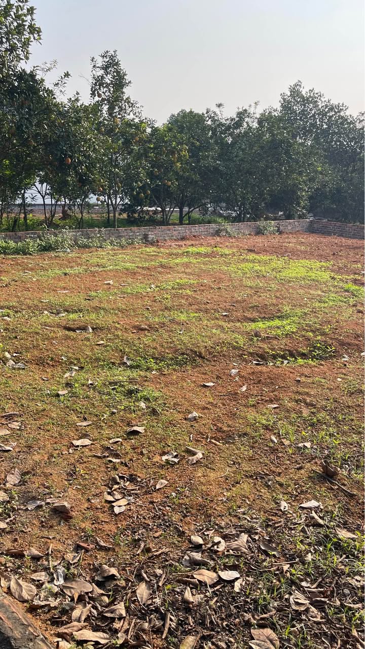 Đất nền Tiên Phong Ba Vì 160m² giá 1.1 tỷ - Mặt tiền rộng, vị trí đẹp!