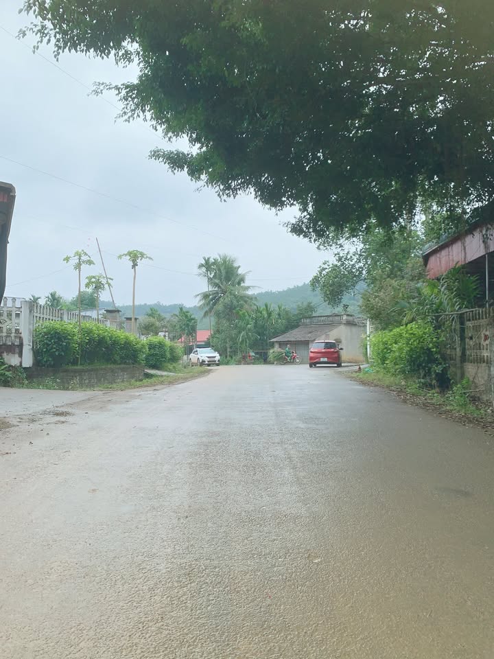 Đất thổ cư 150m² tại Mỹ Tân Ngọc Lặc - Vị trí kinh doanh đắc địa!