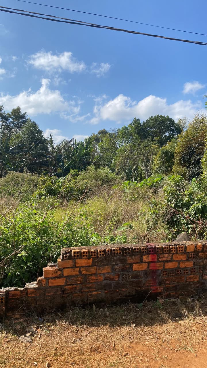 Đất nền Đức Mạnh Đắk Mil 320m² giá 4.16 tỷ - Đầu tư sinh lời nhanh chóng!