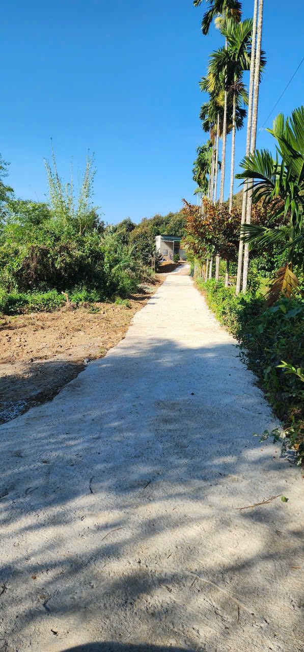 Đất thổ cư 1300m² tại Đạ M'ri giá 1 tỷ - Đường ô tô vào tận nơi!