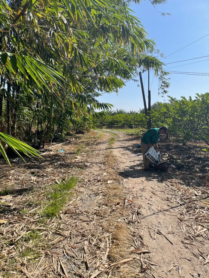 Đất nền Phan, Dương Minh Châu 2370m² giá 3.354 tỷ - Sổ hồng chính chủ, ô tô vào tận nơi!