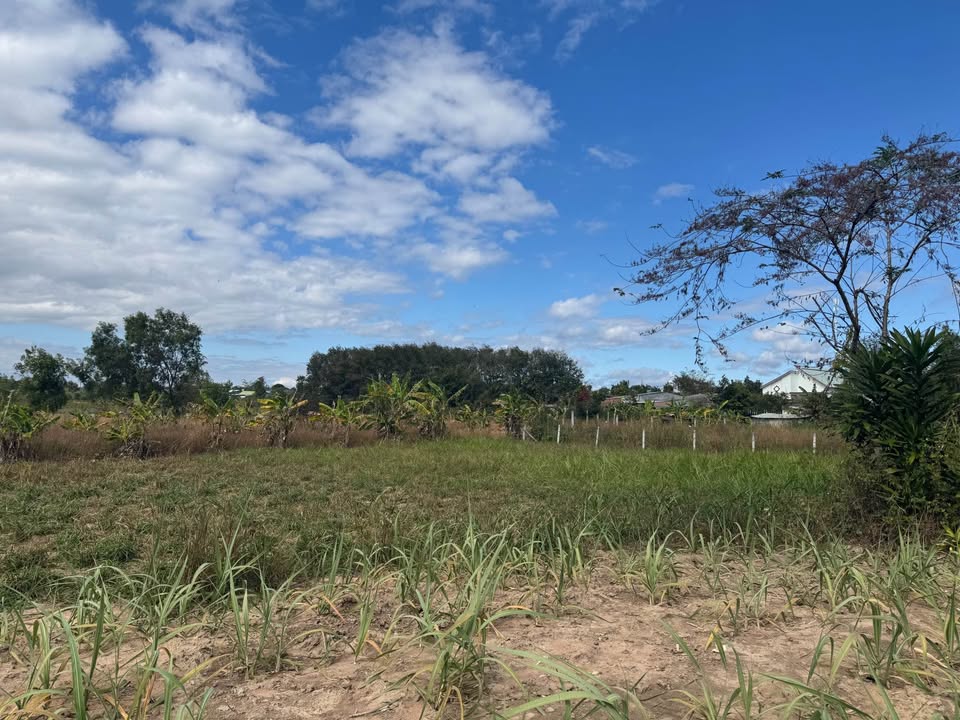 Đất thổ cư thôn Phương Quý 1, xã Vinh Quang, 540m² giá chỉ 4xx triệu - Đầu tư sinh lời ngay!