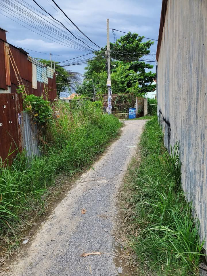 Đất thổ cư ấp 2 Vĩnh Lộc A Bình Chánh 102.5m² giá 3.9 tỷ - Cơ hội đầu tư hấp dẫn!