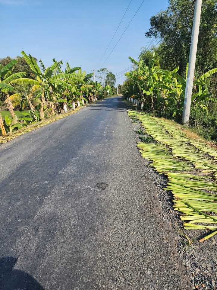 Đất thổ cư 420m² xã Bình Hiệp, Kiến Tường - Đầu tư sinh lời ngay!