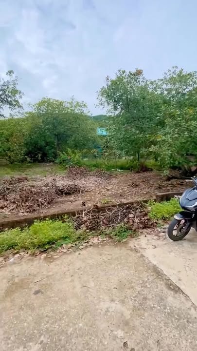 Đất nền Định Quán Đồng Nai 8000m² giá 1.72 tỷ - Cơ hội vàng cho nhà đầu tư!