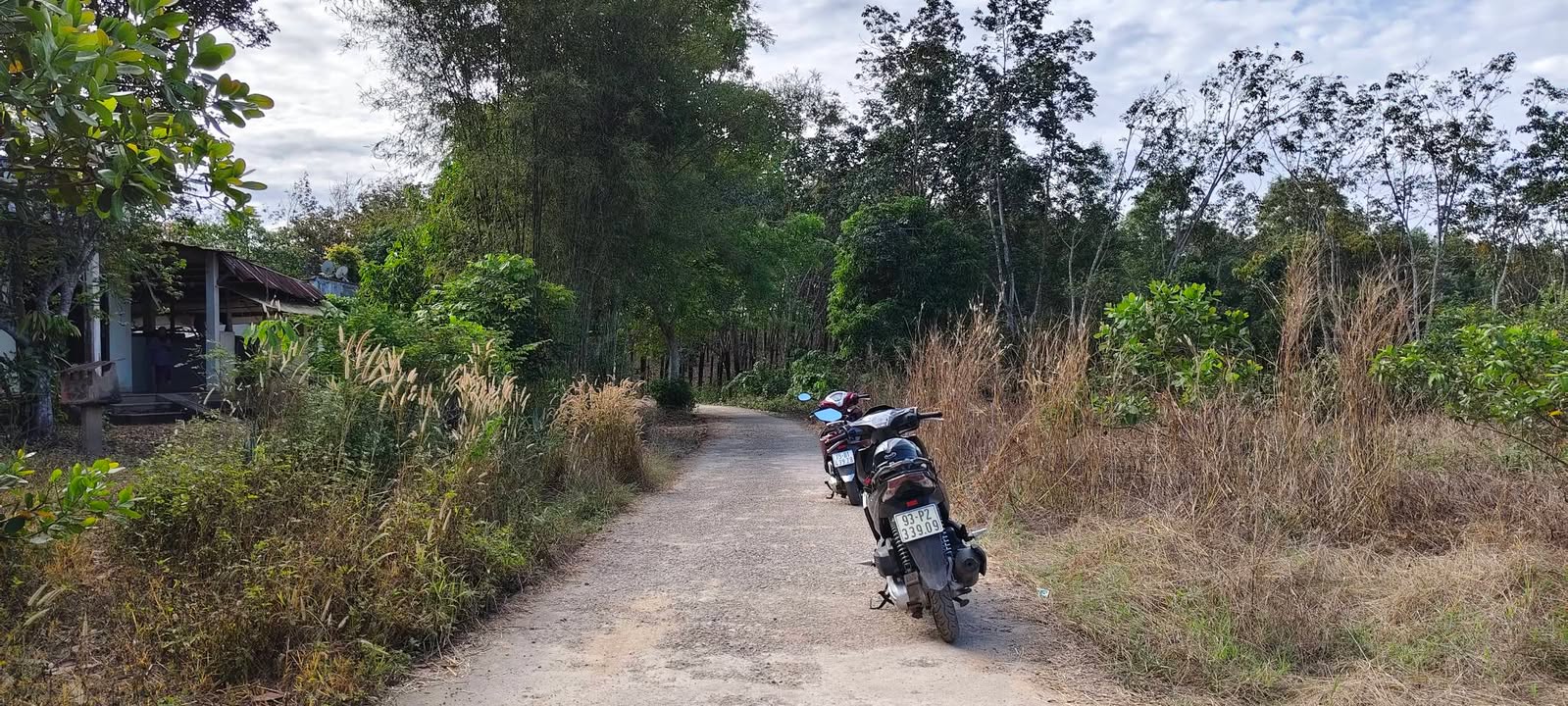 Đất nền Tân Thành - Đồng Xoài 1000m² giá chỉ 200 triệu - Cơ hội đầu tư hấp dẫn!