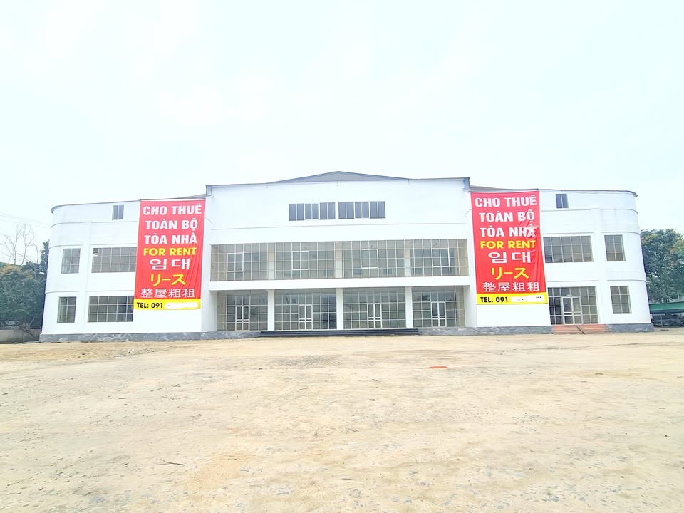 Cho thuê toàn bộ tòa nhà 3 tầng mặt tiền đường tránh TP Vinh 15.000m² - Phù hợp mọi mô hình kinh doanh