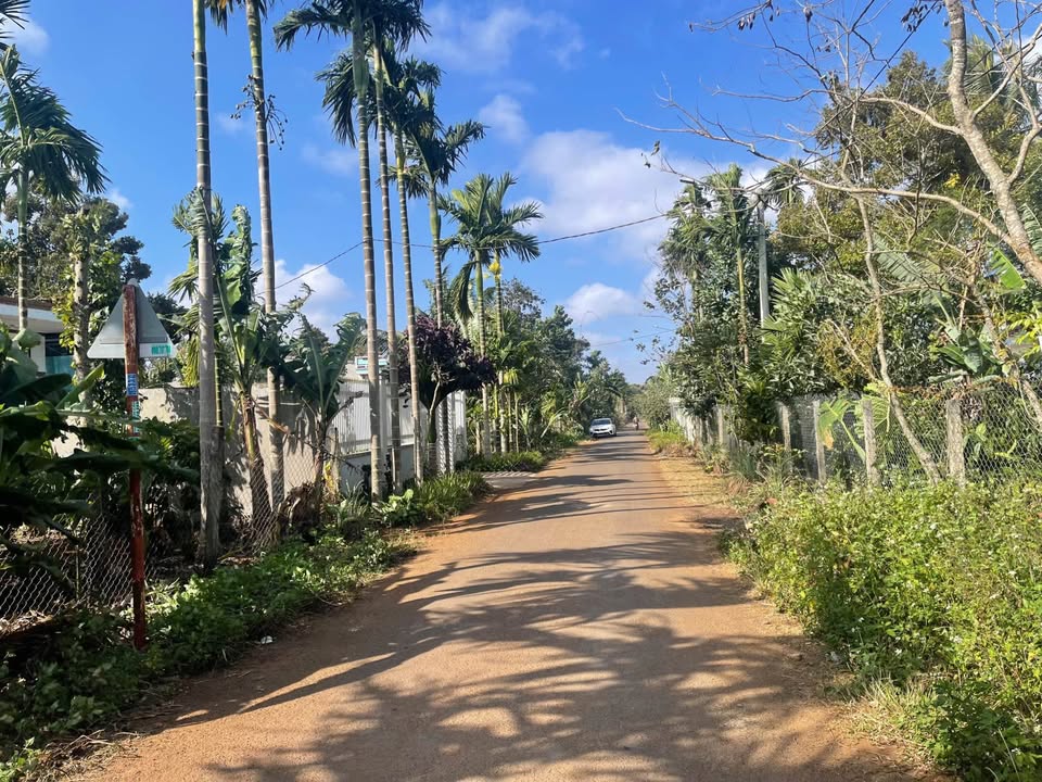 Đất thổ cư Tân An Buôn Ma Thuột 100m² giá 1.6 tỷ - Đầu tư sinh lời ngay!