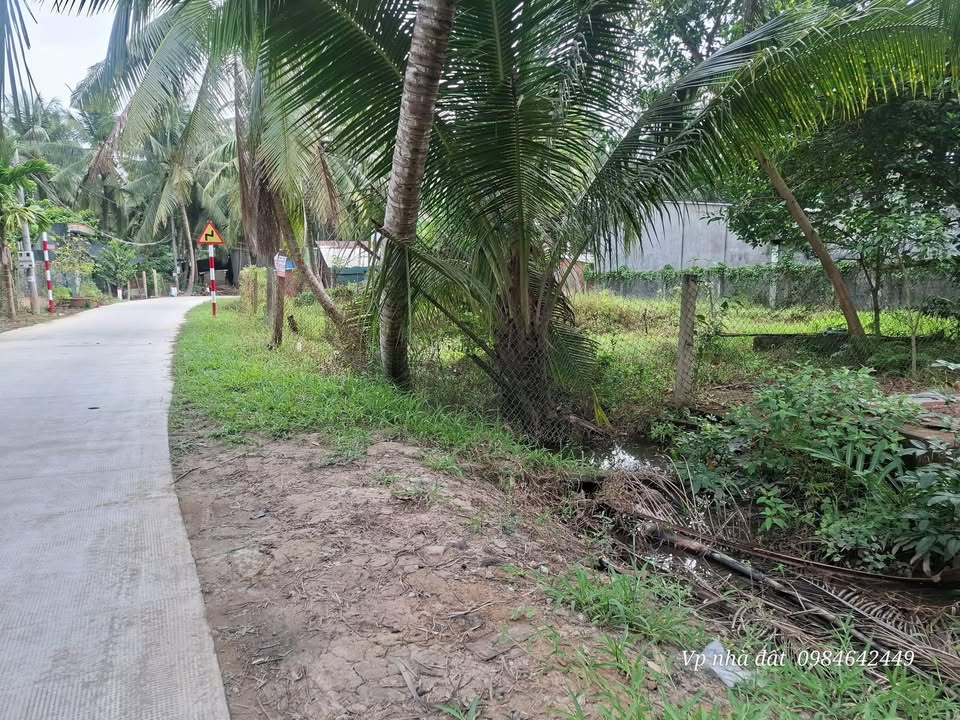 Đất nền Tân Thành Bình, Mỏ Cày Bắc 220m² giá 495 triệu - Sổ hồng chính chủ!