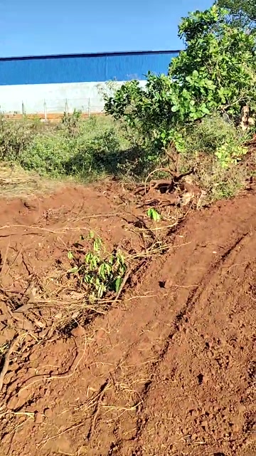 Đất rẫy Minh Hưng Bù Đăng 9500m² giá 2.2 tỷ - Sổ đỏ chính chủ, vị trí đẹp!