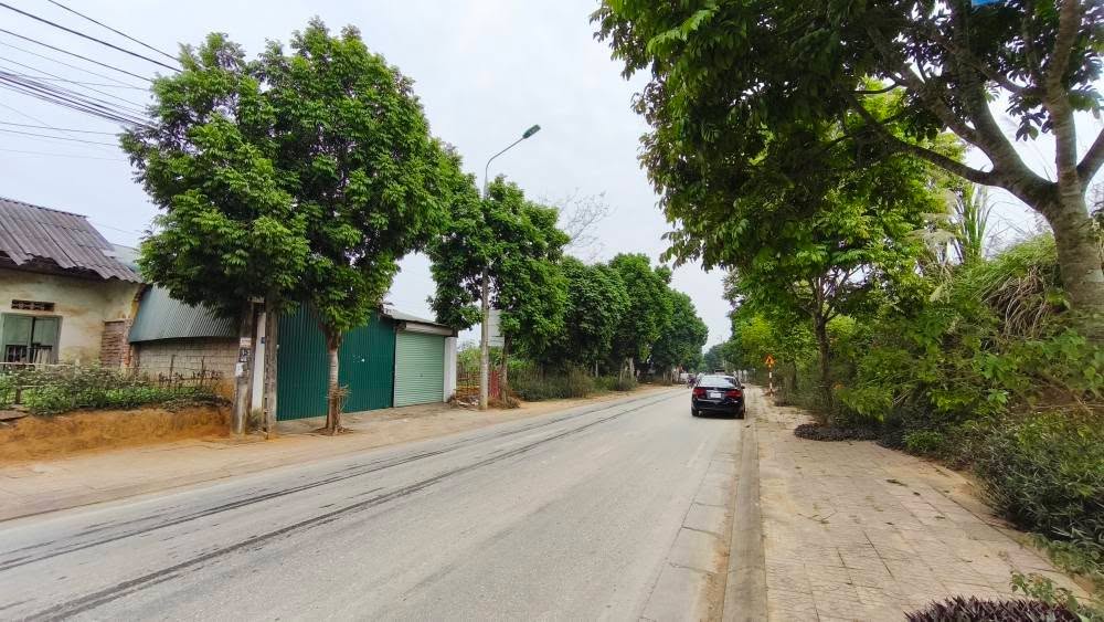 Đất mặt đường Sông Lô, phường An Tường, 150m² - Vị trí đẹp, kinh doanh thuận lợi!