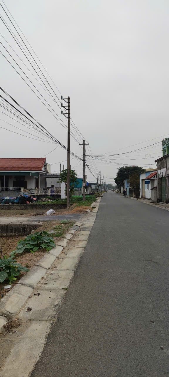 Đất nền Tố Hữu, Nga Sơn, 120m² giá 1.1 tỷ - Hướng Đông, sổ đỏ chính chủ!