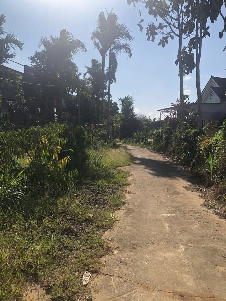 Đất nông nghiệp Đắk Sôr 5 xào 3 cà - Giá 1.7 tỷ, sổ hồng chính chủ!