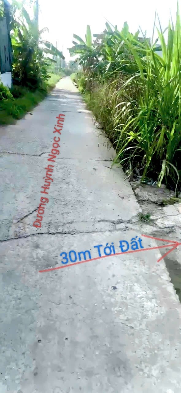 Đất nền Quê Mỹ Thạnh, Tân Trụ 224,4m² giá 550 triệu - Đầu tư sinh lời tuyệt vời!