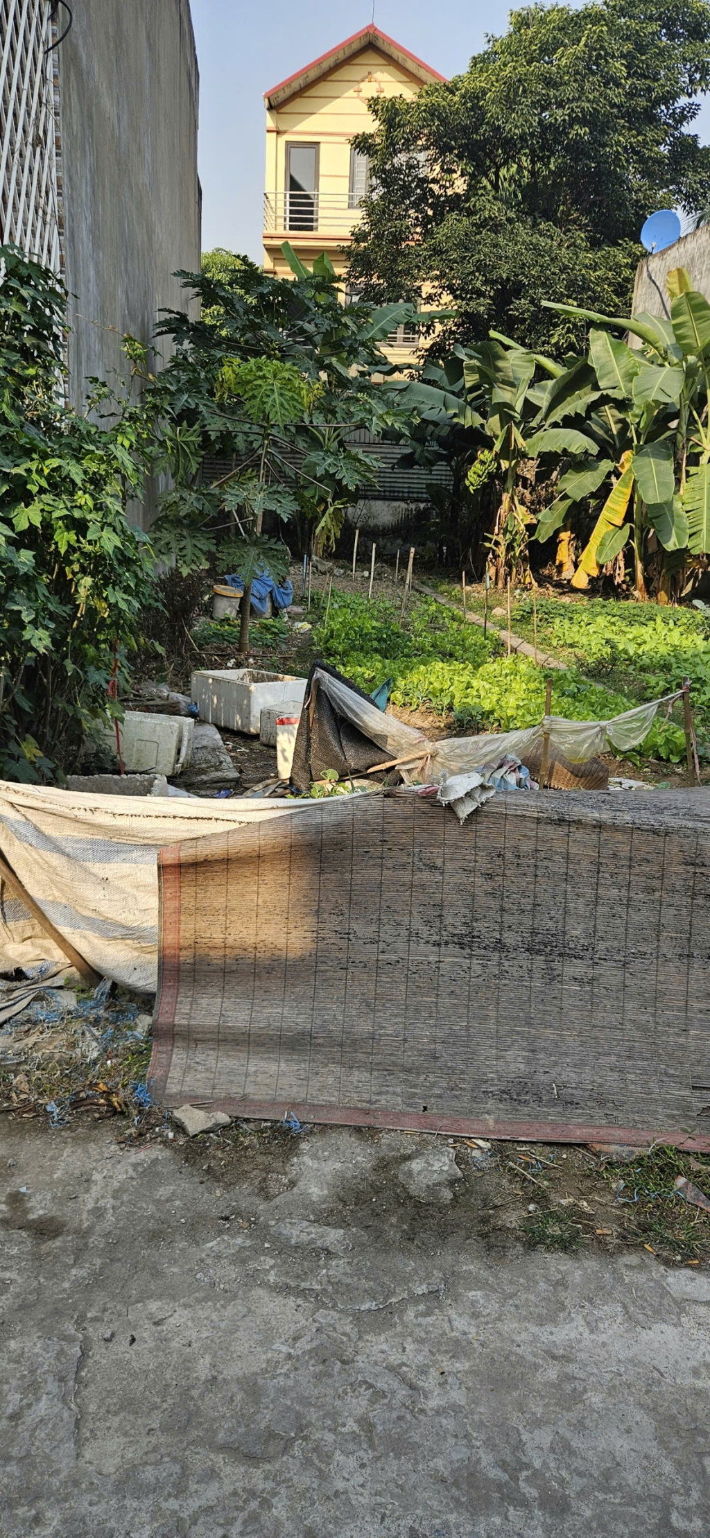 Đất vàng 75m² Tổ 6 TT Quang Minh - Ô tô đỗ cửa, sát Big C Mê Linh chỉ 3.35 tỷ!