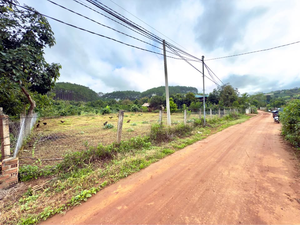 Đất nền Nam Ban, Lâm Hà 2068m² giá 4.8 tỷ - Đầu tư lý tưởng nghỉ dưỡng!