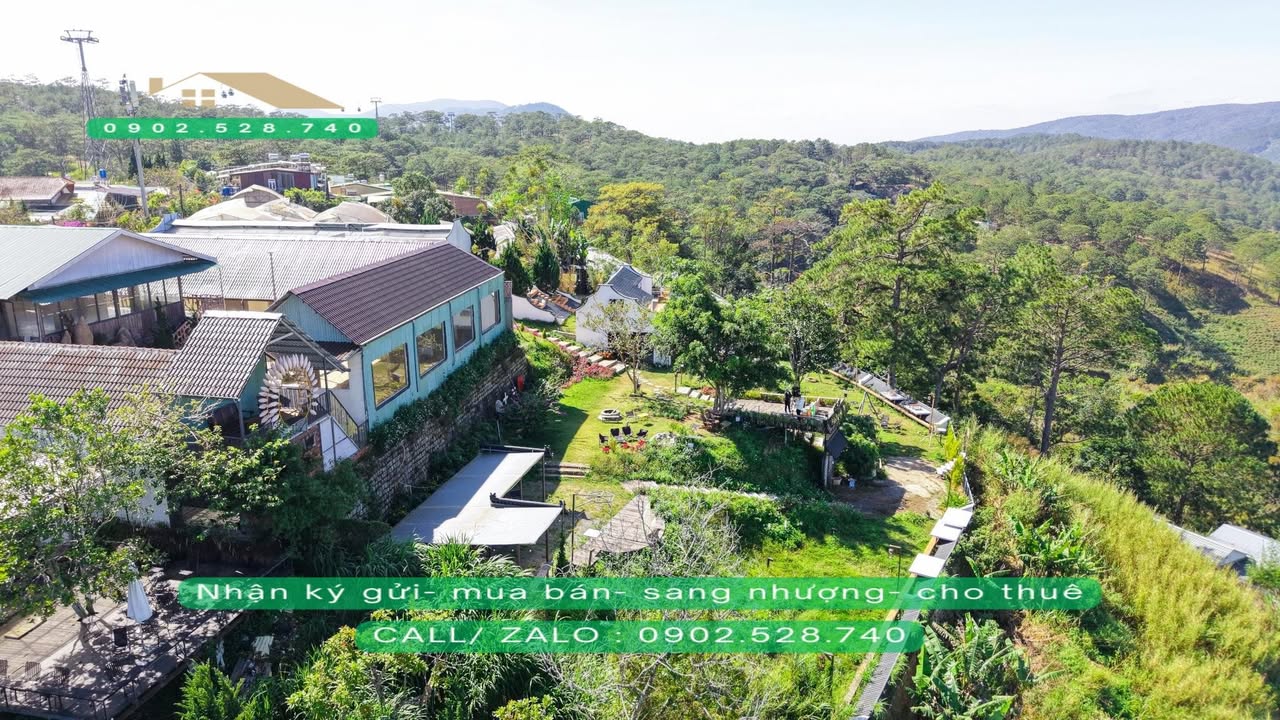 Đất nền 3.217m² phường 3 Đà Lạt - Giá 65 tỷ, view rừng thông tuyệt đẹp!