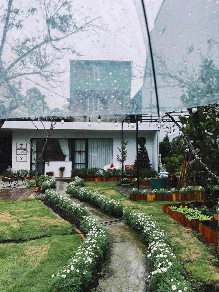 Sang nhượng homestay sân vườn Đà Lạt 250m² - Pháp lý đầy đủ, vào khai thác ngay!