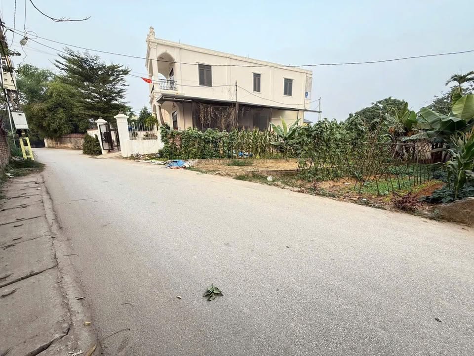 Đất thổ cư 104m² tại Thôn Mới, xã Hướng Đạo - Cơ hội đầu tư tuyệt vời!