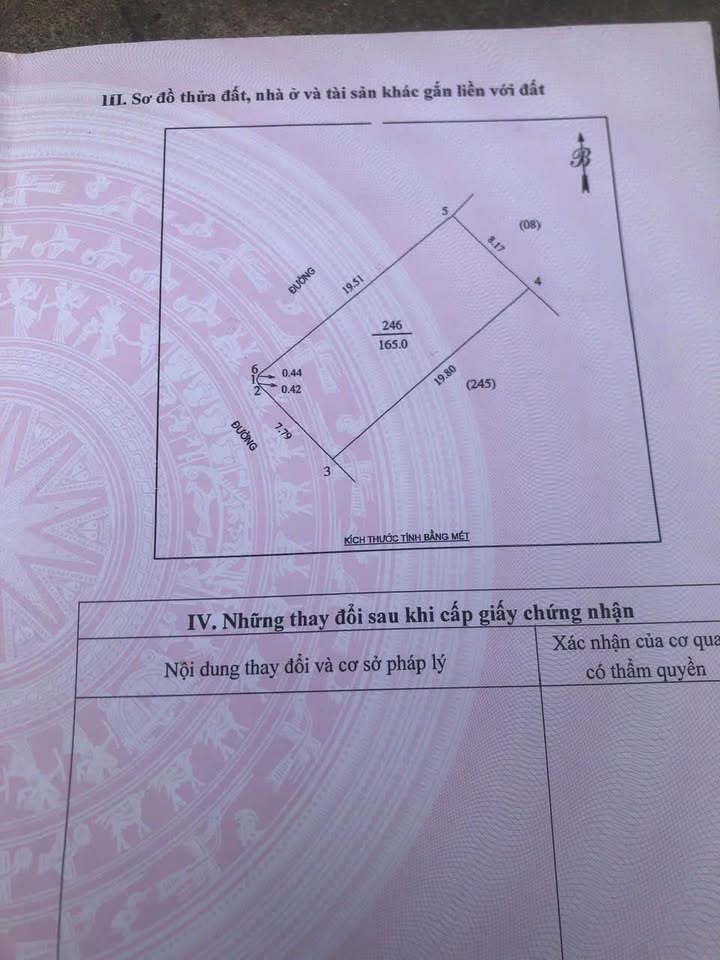 Đất nền Lý Thường Kiệt, Vinh 165m² giá 10.725 tỷ - Lô góc đẹp tiềm năng!
