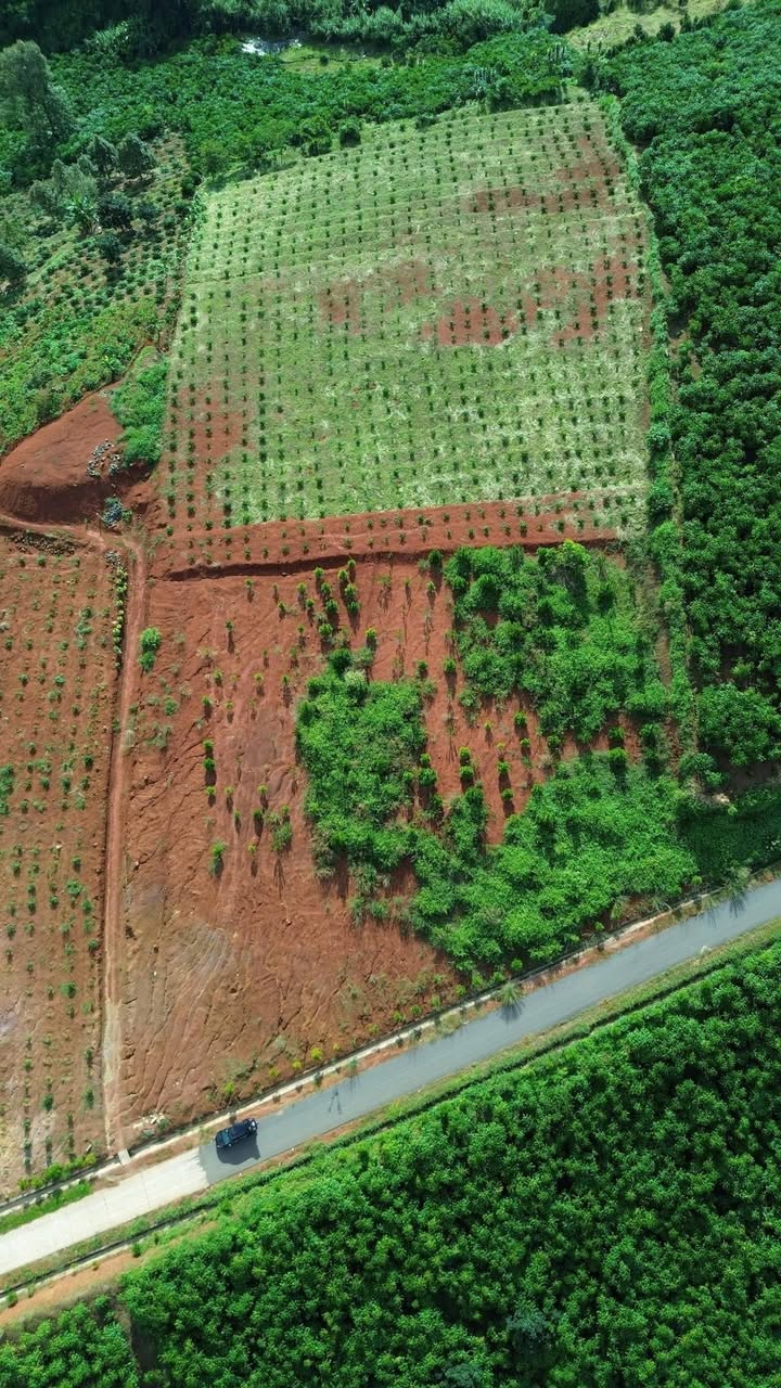 Đất vàng Bảo Lộc 9.869m² giá 45 tỷ - Cơ hội đầu tư không thể bỏ lỡ!