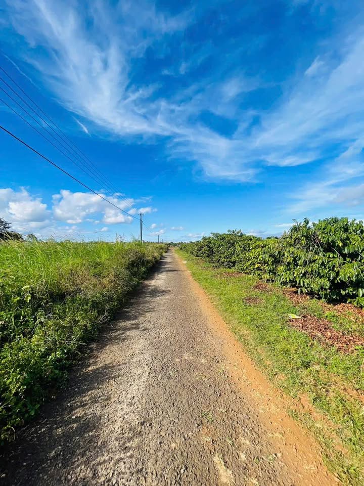 Lô đất Nguyễn Kiệm, phường Yên Thế, 544m² giá 1.05 tỷ - Cần bán gấp!