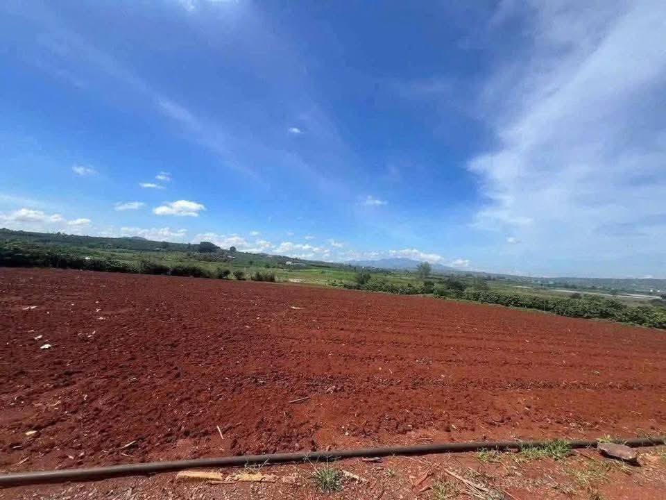 Đất nền thôn Hạ, Đức Trọng 13.320m² giá 3.1 tỷ - Cơ hội đầu tư tuyệt vời!