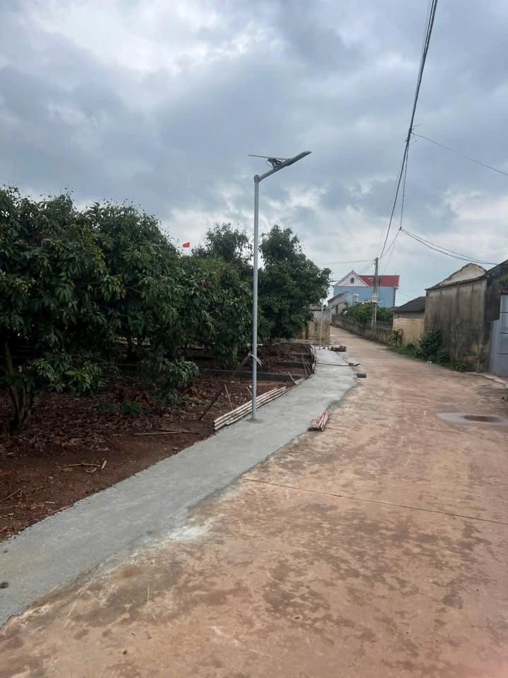 Đất thổ cư Ngọc Sơn, Lục Nam 130m² giá 650 triệu - Đầu tư sinh lời hấp dẫn!