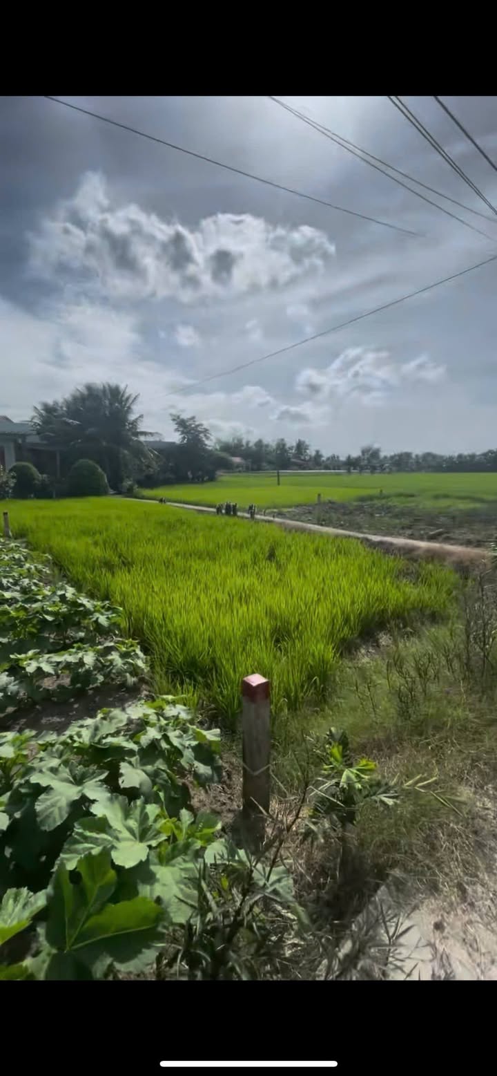 Đất thổ cư 91m² ấp Bình Tây, Tân Trụ giá 400 triệu - Cơ hội đầu tư hấp dẫn!