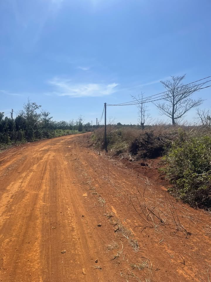 Đất nền Nâm N'Jang 2000m² giá 2.4 tỷ - Sổ đỏ chính chủ, đẹp như mơ!