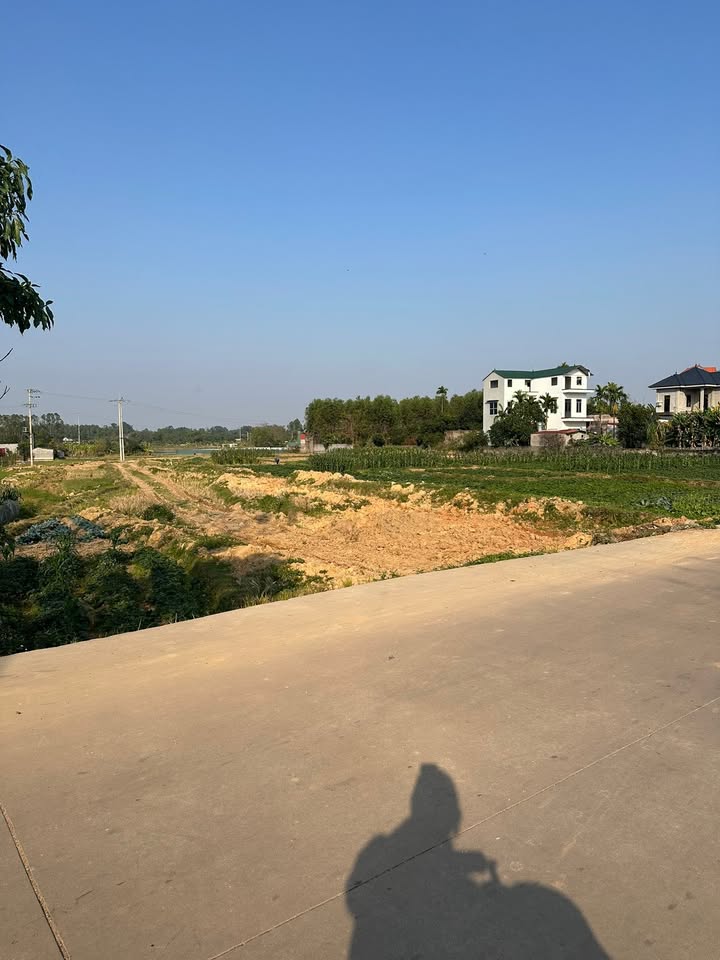 Đất thổ cư Xuân Hương Lạng Giang 101m² - Gần KCN và trường học