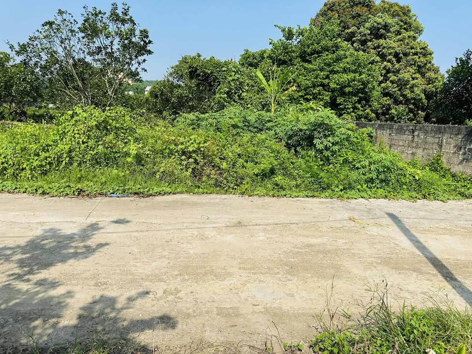 Đất thổ cư An Tường Tuyên Quang 160m² giá 1.1 tỷ - Đầu tư sinh lời dễ dàng!