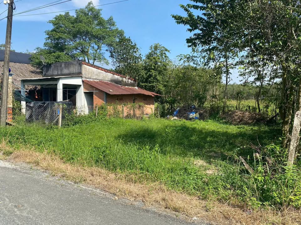 Đất mặt tiền đường 762, An Nhơn Tây, Củ Chi - 153m² giá chỉ 1.5 tỷ!