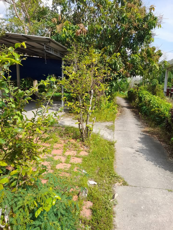 Nhà cấp 4 xã Trà Ôn 132.6m² giá 700 triệu - Thương lượng linh hoạt!