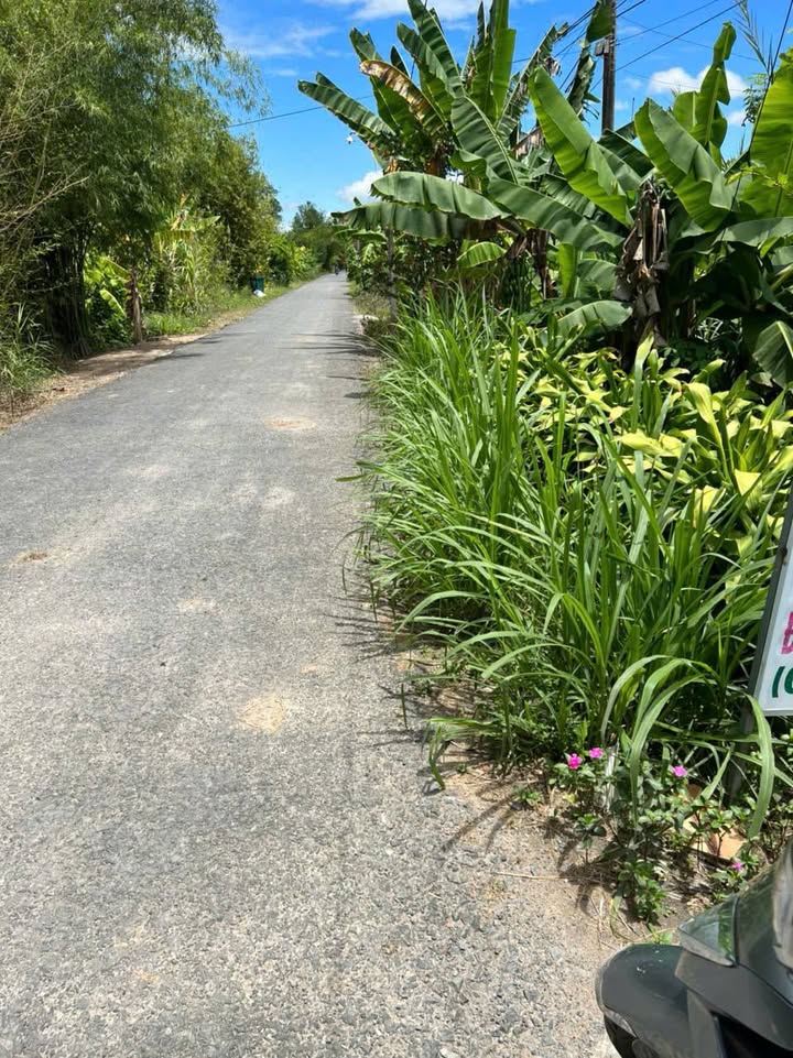 Đất vườn Lộc Hoà, Long Hồ 10.000m² giá 4.35 tỷ - Mặt tiền đường nhựa 8 tấn!