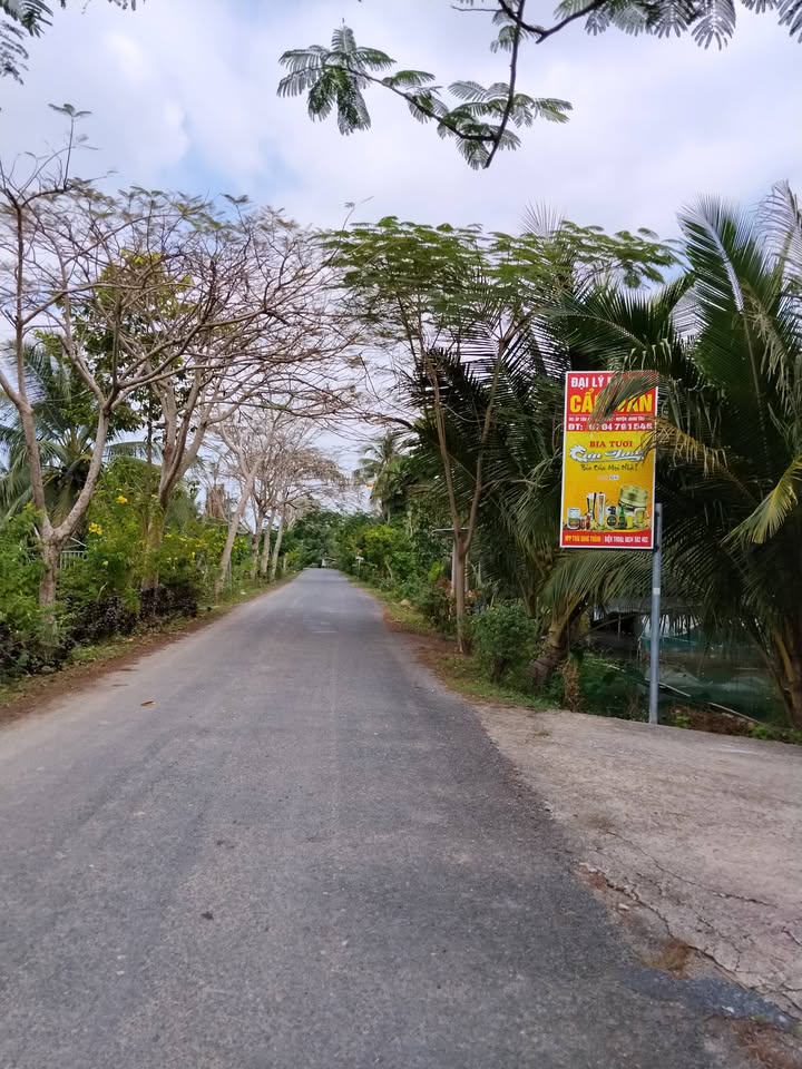 Đất thổ cư 896m² tại Tân Long Hội, Vĩnh Long - Giá chỉ 340 triệu!