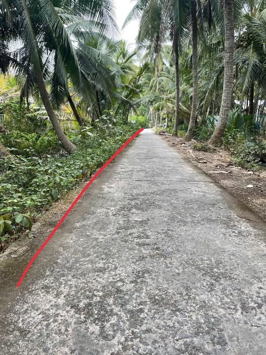 Đất nền Tân Thạnh Tây 500m² giá 400 triệu - Cần tiền gấp bán nhanh!