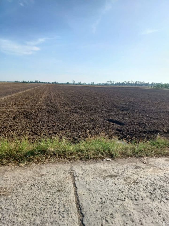 Đất thổ cư Lê Chánh Tân Châu 12.000m² - Giá chỉ 400 triệu