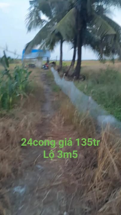 Đất Farm chính chủ tại Xã Đông Hưng B, Huyện An Minh 23.000m² - Giá chỉ 135 triệu